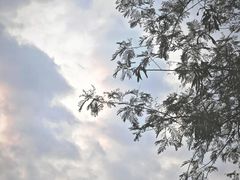 -白石龙音乐公园