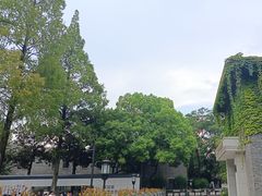 -南京中国近代史遗址博物馆(南京总统府)