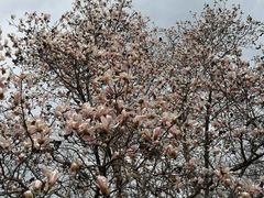 -国家植物园南园