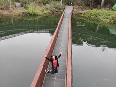 -福道