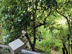 -灵顺寺
