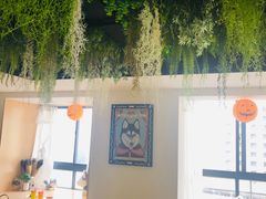 -Husky Go! 哈士奇体验馆·宠物咖啡厅狗咖