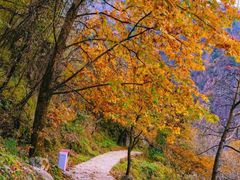 -秦岭终南山世界地质公园翠华山景区