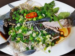 清蒸鲫鱼-先鲜鲫鱼粥