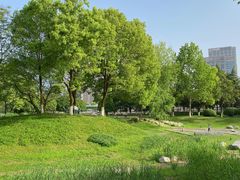 -后襄河公园