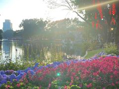 -荔湾湖公园
