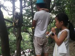 -黔灵山公园-南门售票处