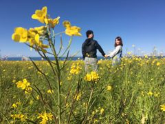 -青海湖国家重点风景名胜区