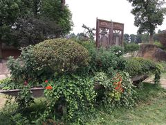 -秀丽东方