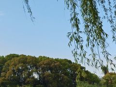 -新江湾城公园