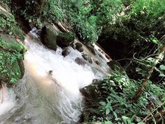 -莫里热带雨林景区