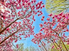 -济南国际园博园