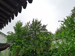 -苏州园林博物馆
