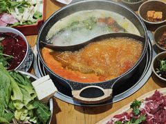 -苗阿哥酸汤牛肉火锅(体育场店)
