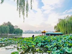 -济南大明湖景区
