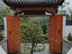 -南京老山国家森林公园