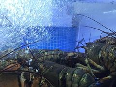 -箸福·夜上海(雨花客厅店)