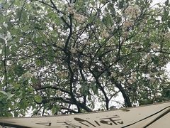 -云里小坐·小院里·团建·宴请·下午茶(三圣乡店)
