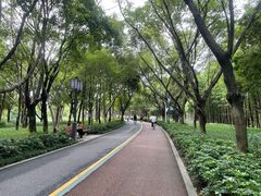 -顺峰山公园