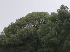 -艾溪湖湿地公园