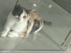 -万达广场(南宁青秀店)