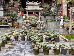 -寂照庵