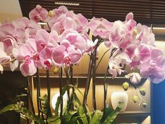 -花锦堂·隐庐