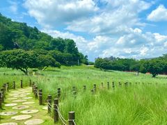 -红花山公园
