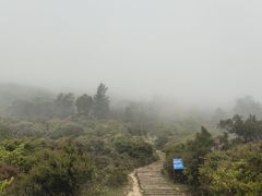 -大姆山草场
