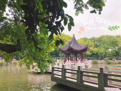 -嘉定紫藤园