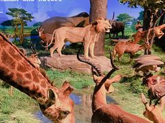 -国家自然博物馆