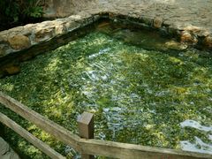 -莫里热带雨林景区