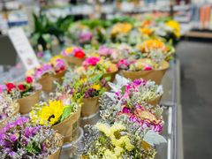 -鹿岛会员店(熙地港店)