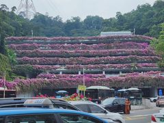 -深圳仙湖植物园