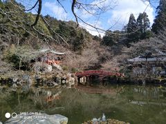 -醍醐寺