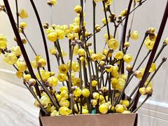 -三圣花乡旅游区