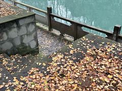 -成都市活水公园