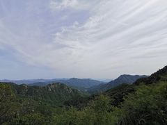 -大岭沟猕猴桃谷风景区