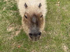 -南京金牛湖风景区