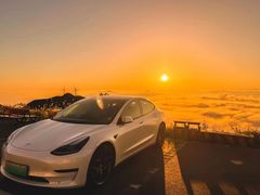 -TESLA 特斯拉(上海太古汇体验店)