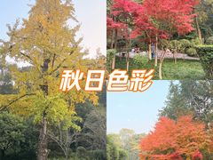 -龙头寺公园