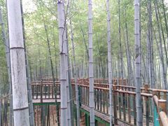 -陶祖圣境风景区