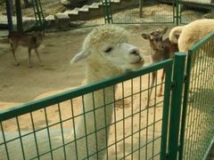 -石家庄市动物园