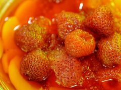 -祝哥最火碳缸烧鸽撸串