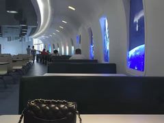 -5食堂