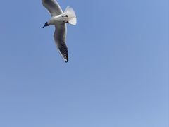 -海埂大坝