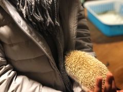 -藦茜花园宠物主题亲子互动体验馆(国顺东路店)