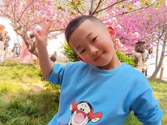 -西安青龙寺遗址景区