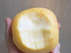-四川大学(江安校区)