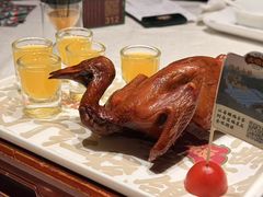 -大鸽饭(动物园店)